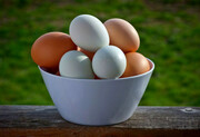 بهترین روش برای تشخیص تخم مرغ سالم از ناسالم