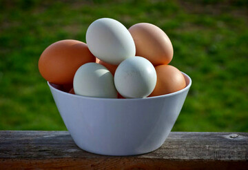 بهترین روش برای تشخیص تخم مرغ سالم از ناسالم