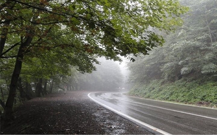 تصاویر حیرت انگیز از لحظه زیبای بارش باران در جاده کوهستانی چالوس + فیلم