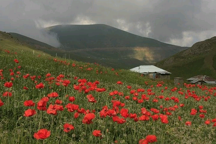 جاهای دیدنی لاهیجان دیلمان