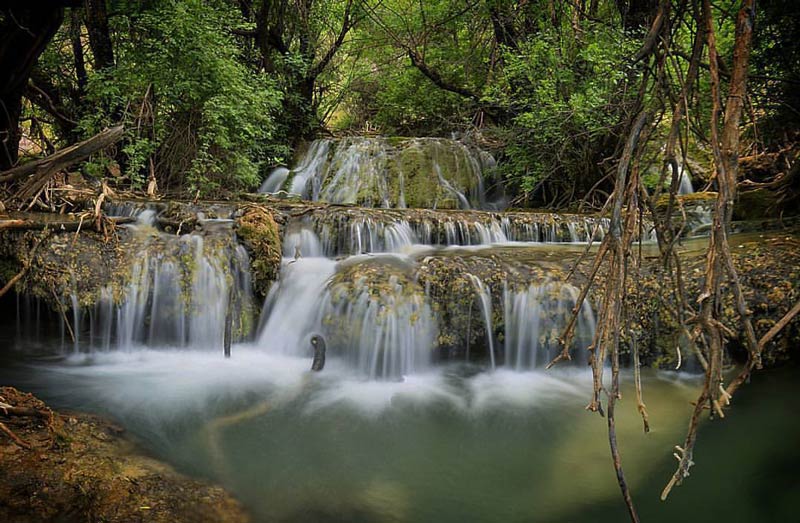 بازدید از جنگل و آبشار نای انگیز را از دست ندهید!