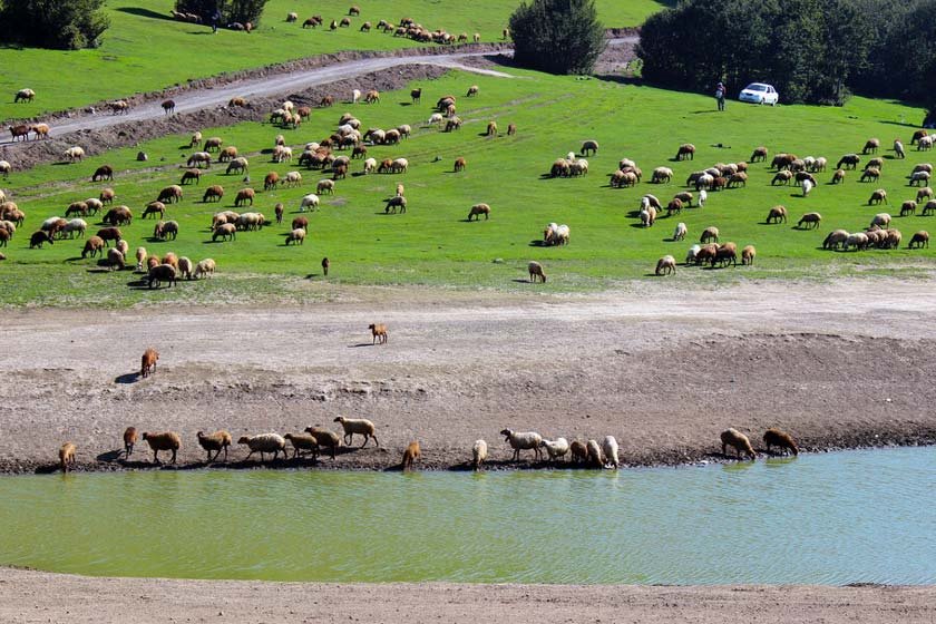 دریاچه سوها در کجاست؟
