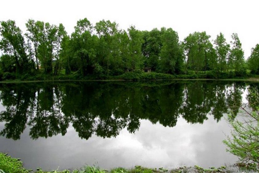 رشت کجا بریم