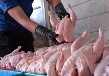قیمت مرغ در ایام عید و ماه رمضان اعلام شد