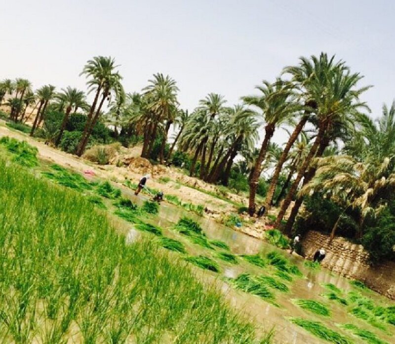 روستای ازمیغان