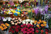 بازار گل محلاتی تهران؛ مرکز پل تهران