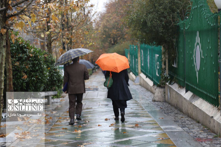بارش زیبای باران بهاری در تهران + فیلم