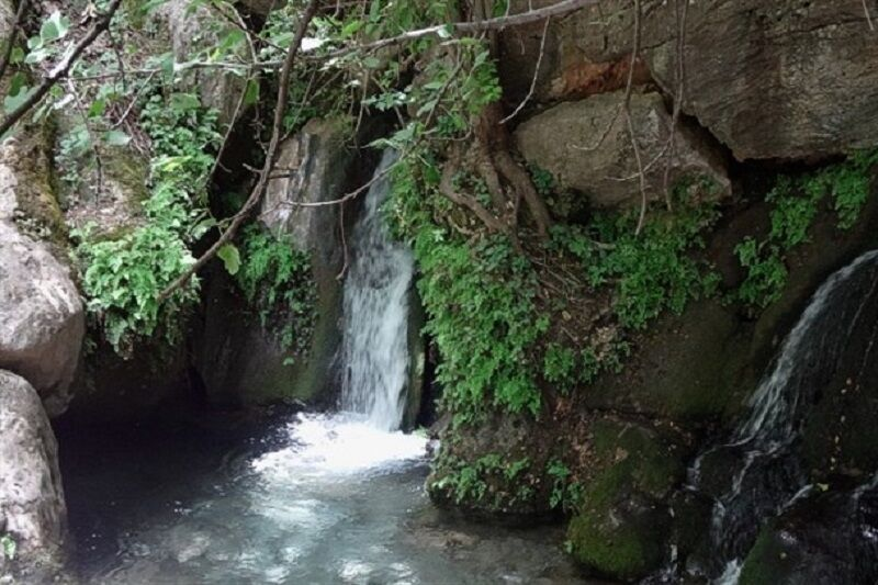 رقص بهار در طبیعت جادویی کهگیلویه و بویراحمد