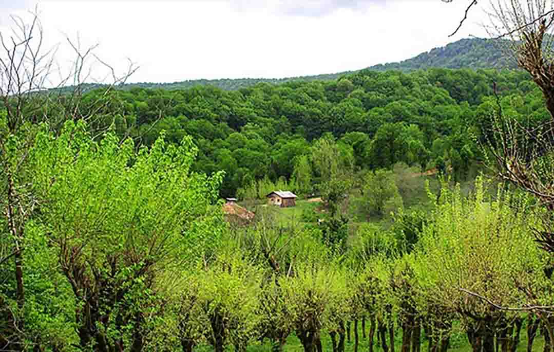 روستای کچا