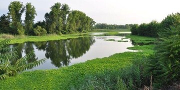 جاهای دیدنی رشت در تابستان
