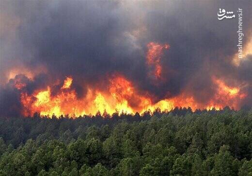 تصاویر آخرالزمانی از آتش سوزی وحشتناک در آمریکا | نصف شهر خانه های خود را ترک کردند + فیلم