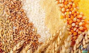 کاهش قیمت جهانی گندم و برنج