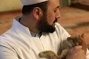 یک گربه در منبر مسجد چهار قلو زایمان کرد! + فیلم
