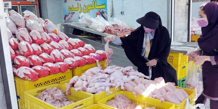 پیش بینی وضعیت گرانی مرغ پس از ماه رمضان