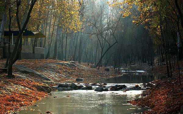 دیدنی‌ترین بخش‎های پارک وکیل آباد در مشهد