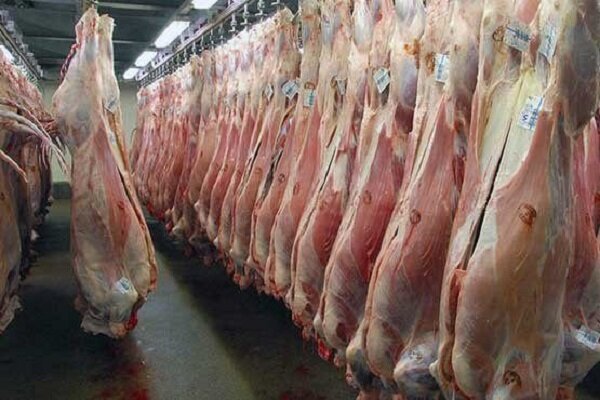 هشدار مهم به مردم درباره خرید گوشت قرمز/ شیوع تب کریمه کنگو در شمال کشور