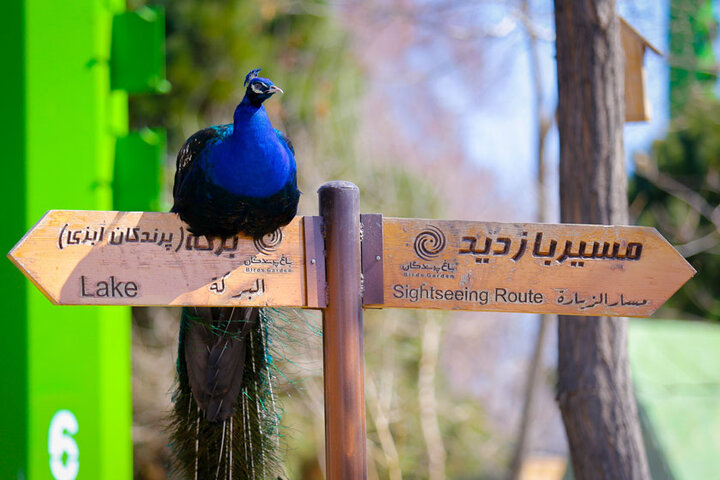 چند بخش دیدنی در باغ پرندگان اصفهان