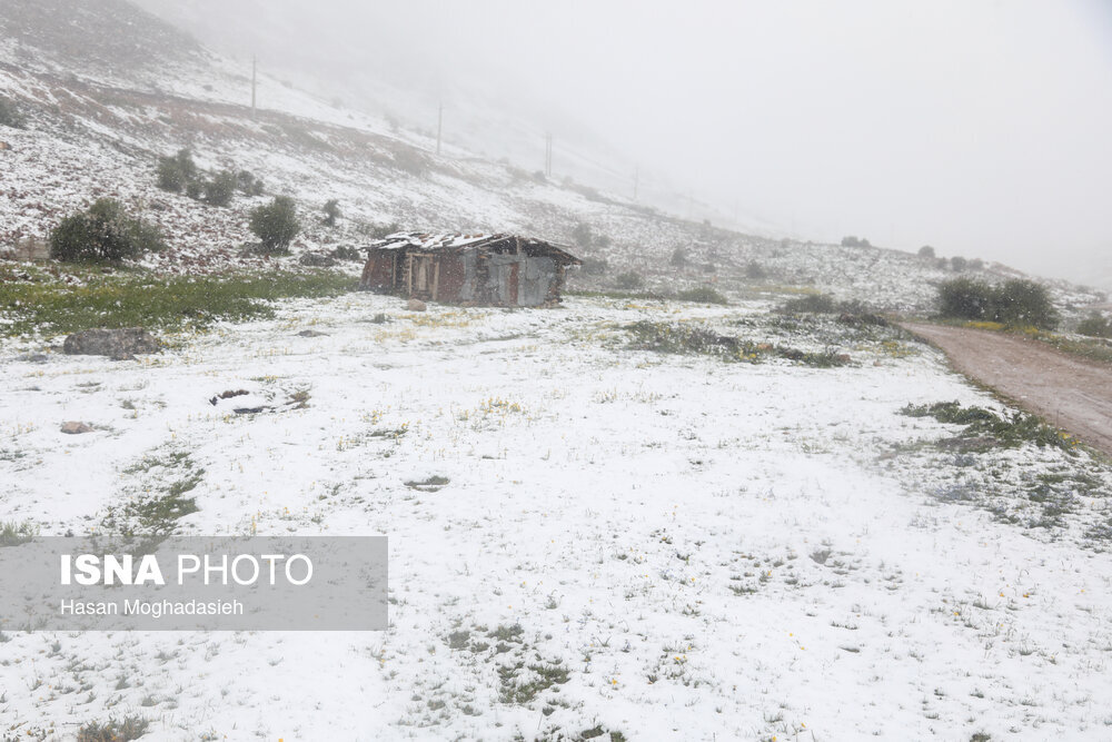 بارش برف در ارتفاعات سوادکوه