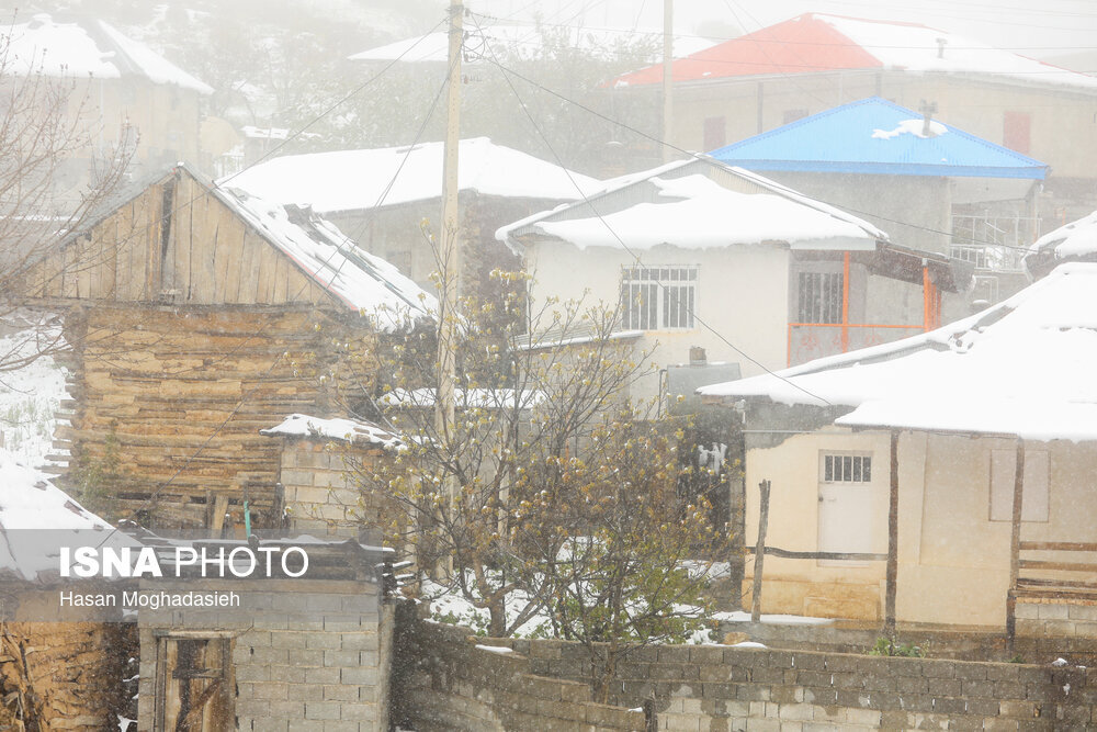 بارش برف در ارتفاعات سوادکوه