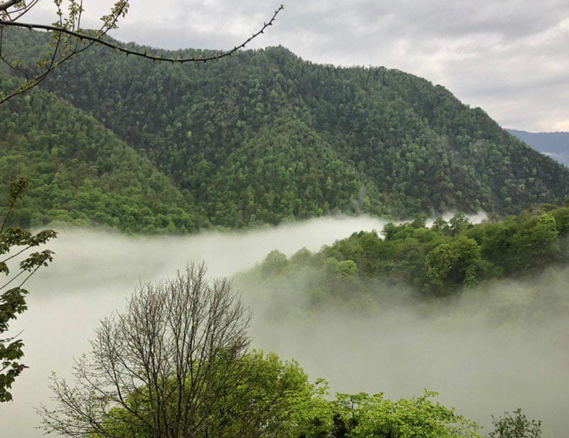 روستای لاویج چمستان کجاست؟