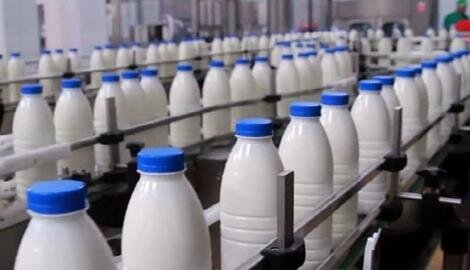 قیمت شیرخام ۲۵ درصد افزایش یافت | لبنیات چقدر گران می‌شود؟