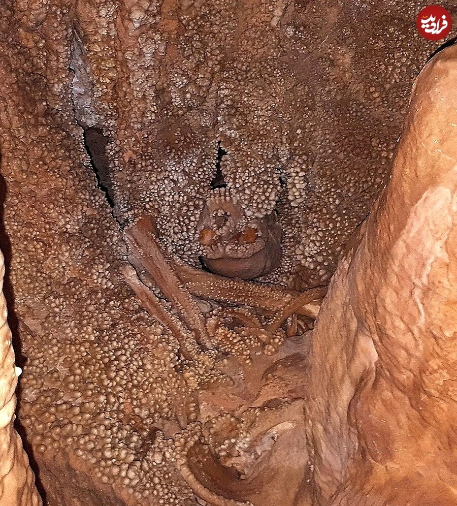 فسیل ترسناک مردی که ۱۸۰هزار سال قبل در چاه افتاد