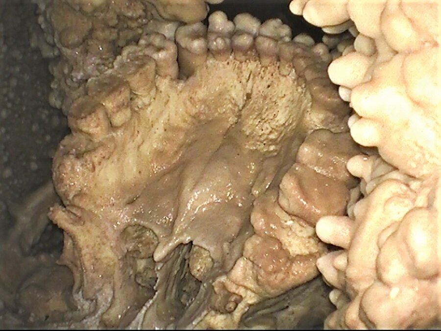 فسیل ترسناک مردی که ۱۸۰هزار سال قبل در چاه افتاد