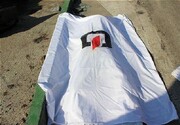 شکایت از زنی که با ماشین سارق کیف خود را کشت / اتهام زن قتل عمد است؟