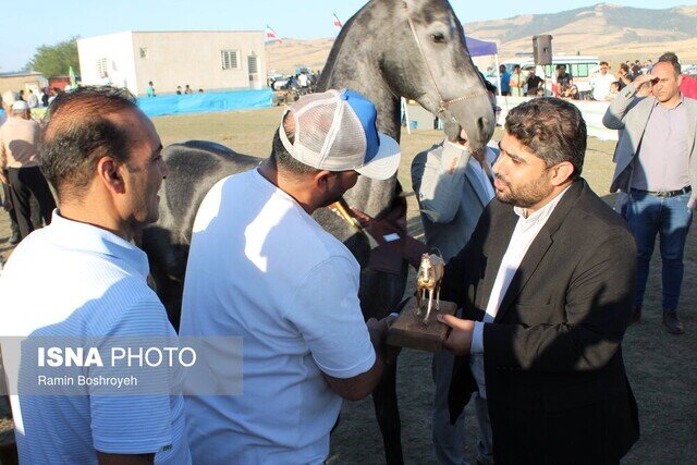 هفدهمین جشنواره ملی زیبایی اسب اصیل ترکمن - صوفیان کلاله