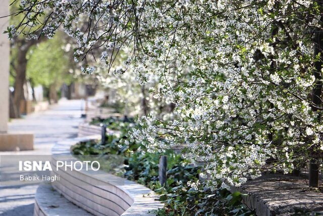 خودنمایی بهار در شهر اردبیل