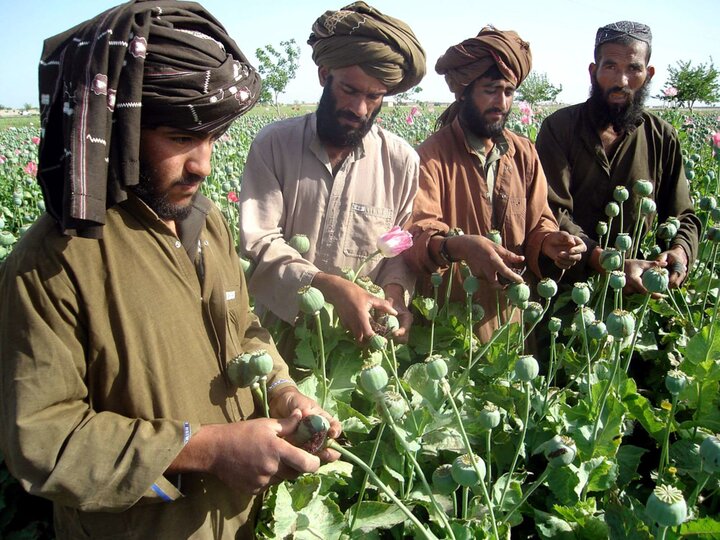 هدف طالبان از ندادن حق آبه ایران مشخص شد