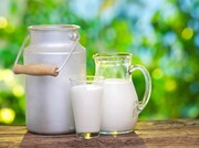 خواص شگفت انگیز شیر برای سلامت بدن + عکس