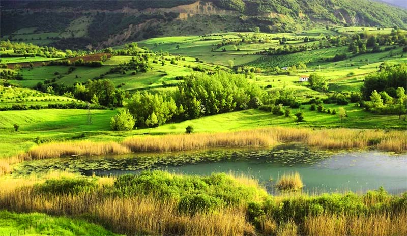 استخرگاه گیلان کجاست؟