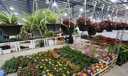 افتتاح نمایشگاه گل و گیاه در سنندج