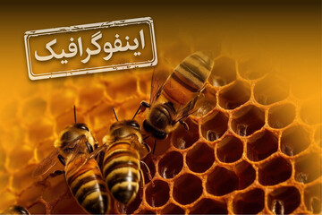 بزرگترین تولیدکننده عسل در دنیا کدام کشور است؟ + عکس