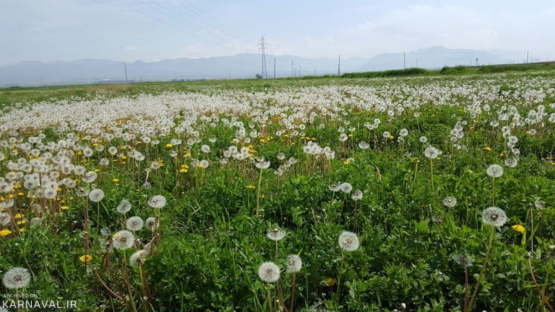 زرگر؛ روستایی تماشایی در قزوین