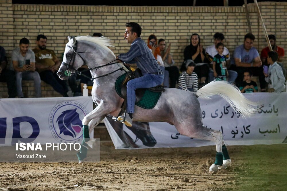 تصاویر: سی و سومین دوره مسابقات زیبایی اسب اصیل عرب