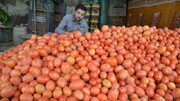 ممنوعیت ورود ۹ محصول کشاورزی ایران به عراق