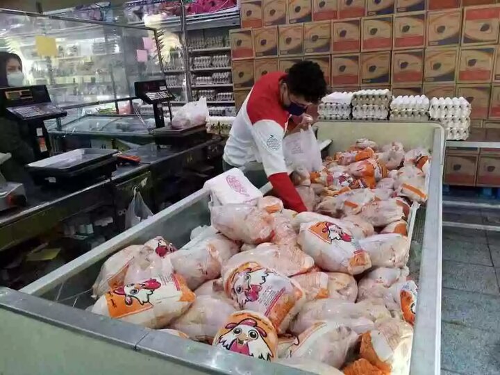 قیمت هر کیلو مرغ به 100 هزار تومان رسید