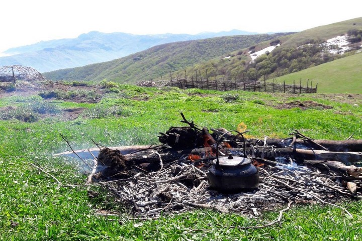 تفریحات خاص در جنگل فندقلو