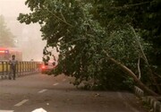 هشدار شهروندان تهرانی | احتمال وزش باد شدید و رگبار و گرد و خاک