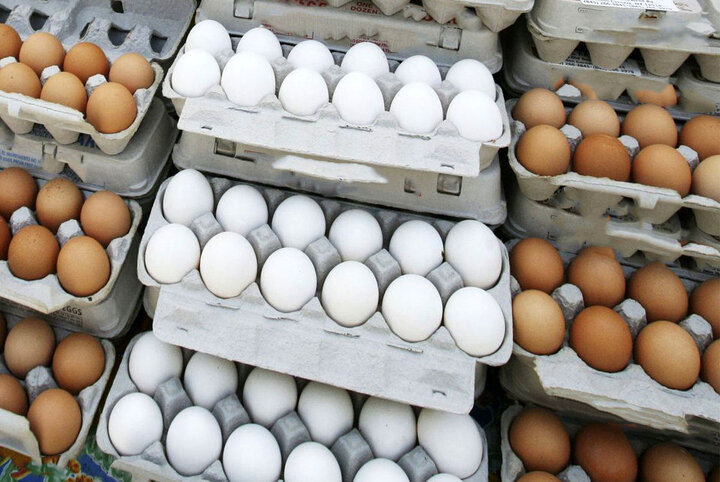 6 روش جدید پخت تخم مرغ