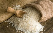 برنج ایرانی ۳۵ درصد ارزان شد