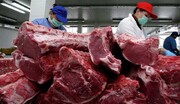 قیمت گوشت گوسفندی به نیم میلیون تومان رسید