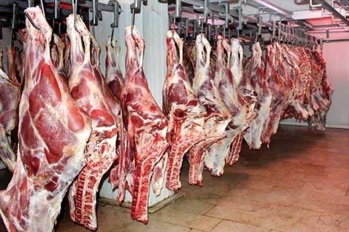 قیمت باورنکردنی گوشت در بازار | قیمت گوشت گوسفندی امروز پنجشنبه ۲۵ خرداد چند شد؟
