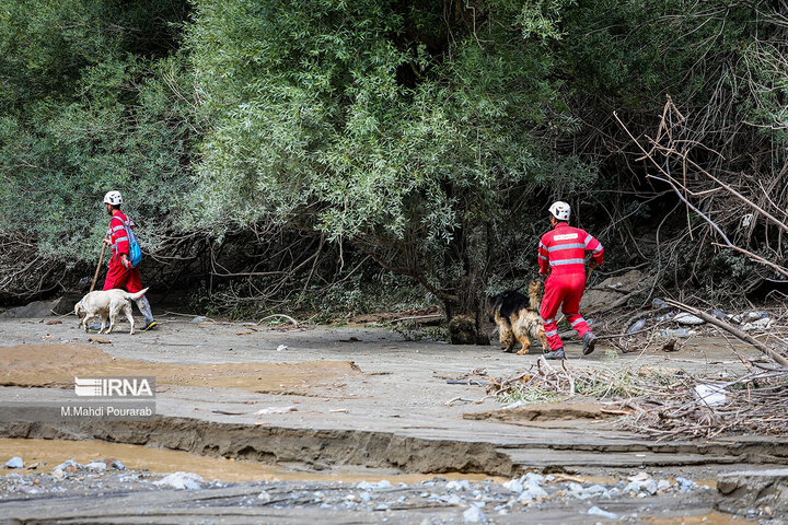 ادامه عملیات جستجو برای پیدا کردن دو مفقودی در سیلاب جاده کرج -چالوس