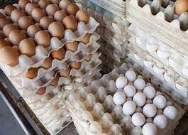 کاهش شدید قیمت تخم مرغ در بازار | قیمت تخم مرغ از ۶۰ الی ۹۰ هزار تومان