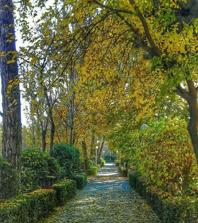 وکیل‌آباد؛ پارکی خاص در مشهد