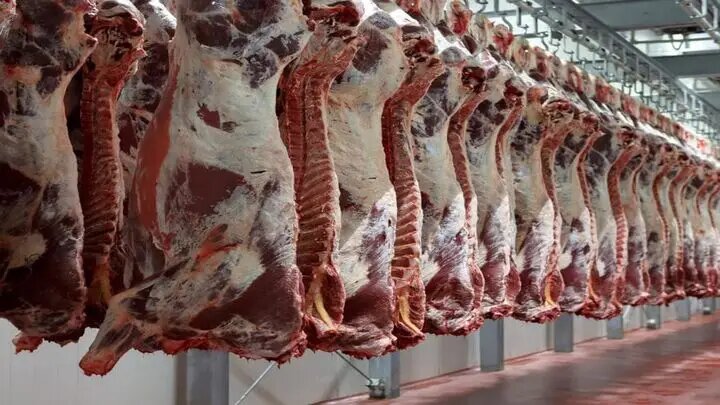 قیمت روز هر کیلو گوشت قرمز چند؟