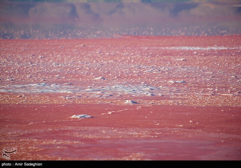 این دریاچه در ایران به رنگ خون درآمد! + عکس